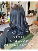 レーヴ ヘアー シエル(Reve hair ciel)&nbsp;ブルー＆シルバー★シールエクステハイライト１０代/２０代/３０