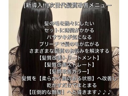 ブルーフェアリー(Blue Fairy)の写真
