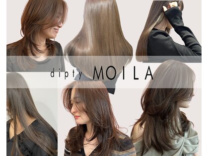 ディプティモイラ(dipty MOILA)の写真