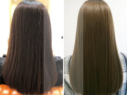 シグネット(signet)の写真