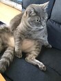 イズミー(is me.)&nbsp;こじろー♂こーちゃん　１３才　長男　優しい　ビビり　甘えん坊