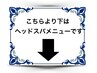 こちらより下はヘッドスパメニューです