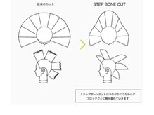骨格補正できるワケは、【ボリューム自由自在の展開図】