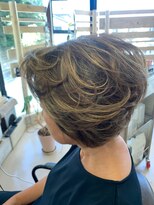 プルーフアンテナ(PROOF ANTENNA)&nbsp;aダブルカラーハイライト