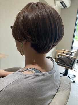 本と南風 guest design