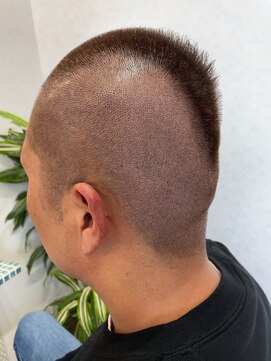 メイン クーン(Maine Coon) サイドパート