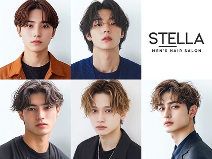 ステラ(STELLA)の写真