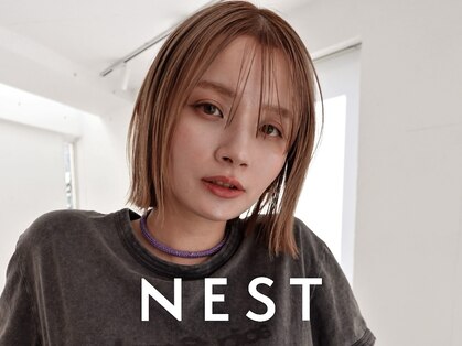 ネスト(NEST)の写真
