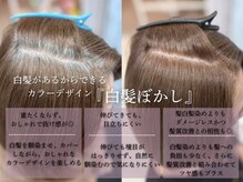 プロデュース 町田店(Produce)の雰囲気(髪質改善×白髪ぼかしで白髪を活かし、カラーデザインと艶の両立)