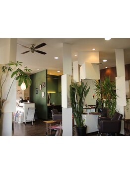 ゆったりとした空間でお客様一人ひとりに向き合う◎ライフスタイルに溶け込む、特別なスタイルを。