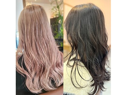 シンミ(SHinmi)の写真