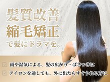 ミモザ(MIMOSA)