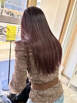 カシェル(cashel kishaba)&nbsp;カシスカラー