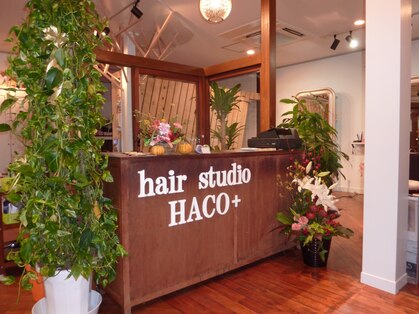 ヘアースタジオ ハコプラス(hair studio HACO+)の写真