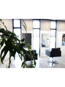 リラックスしてゆっくり過ごせる店内と、丁寧なカウンセリングを大事にしているプライベートサロン♪