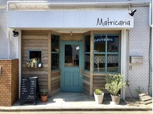 マトリカリア(Matricaria)