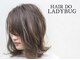 ヘアードゥ レディバグ(HAIR DO LADY BUG)の写真