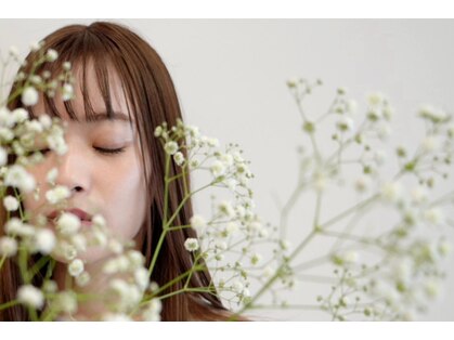 プレイン(plain)の写真