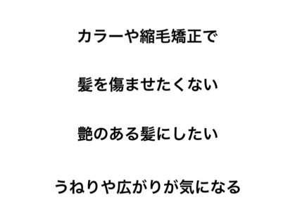 ハイドアンドシーク(HIDE and SEEK)の写真