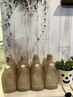 オーガニックカラー＋モルティナTR（SB込み）　￥8,800～→￥8,300～