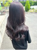ロング/パープルブラウン/透明感/艶感/艶髪