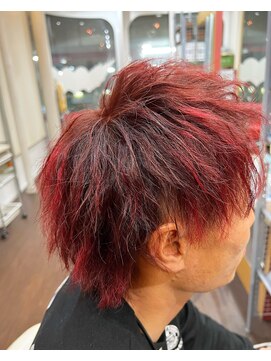 クオーレツー(Cuore2) ツイスト×塩基性レッド