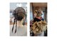 Hairmake&Bridal グレイスの写真