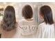 シエラヘアー(Sea Erra)の写真
