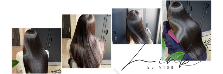 リンクバイビセ 髪質改善(link by vise)のサロンヘッダー