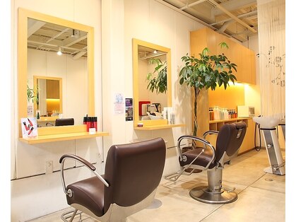 ボビッシュヘアーデザイン(Bobbish hairdesign)の写真