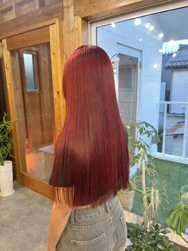 アフターニュース 新潟(afternews) ダブルカラー/カシスレッド/ケアブリーチ/韓国