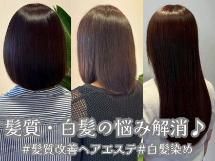 アミーベル クレール(AMI a BELLE Clair)の写真