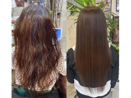 レモネード(LEMONade)の写真