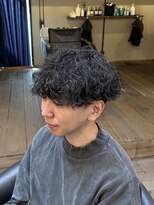 ミオ ベガ(Mio'' VEGA)&nbsp;波巻きプードル