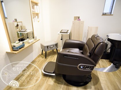 ももいろかぶとむしの写真