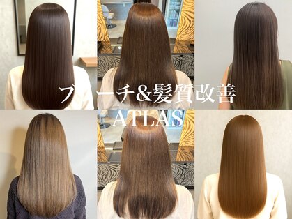 アトラス(ATLAS)の写真