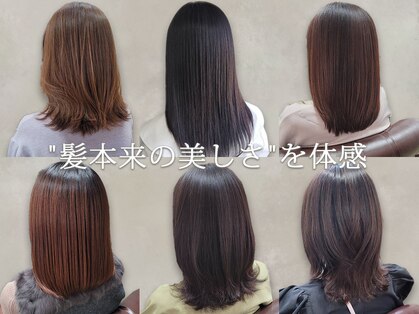 ブルーフィン シセロ(Blue Fin cicero)の写真