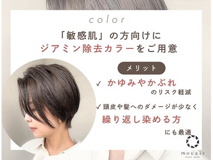 ムエール(mouair)の写真