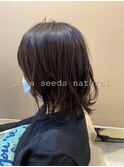 *chia seeds natural brown*