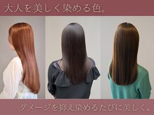 エル トゥー エフ(el two ef)の雰囲気（白髪ぼかしやカラーもカウンセリングをもとに理想を作りましょう）