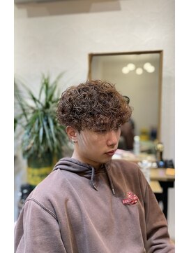 メイト(MEITO) プードルパーマ