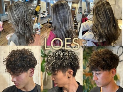 ロイズ ヘアデザイン アンド スパ(LOES)の写真