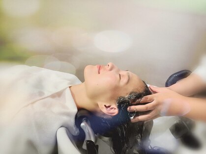 オルサ(orsa)の写真