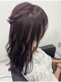 .秋~冬に大人気!ピンクラベンダー.