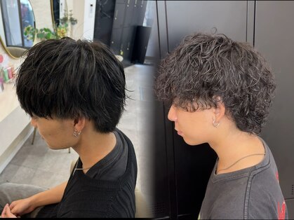 ラビス クローバー(Lovis clover)の写真