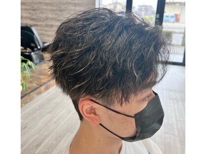 アプシア(UPSIA)の写真