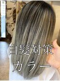 shadow roots