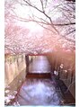 アーサスバイヘッドライト 千葉富士見店(ursus by HEADLIGHT) お花の季節が大好きです！季節を感じることは日本のよい所。