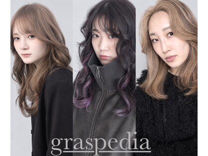 グラスペディア(graspedia)の写真