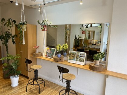 ヴィアージュ(Viaje)の写真